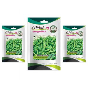 بذر فلفل همدانی شیرین گلبرگ پامچال کد gpf 326 مجموعه 3 عددی
